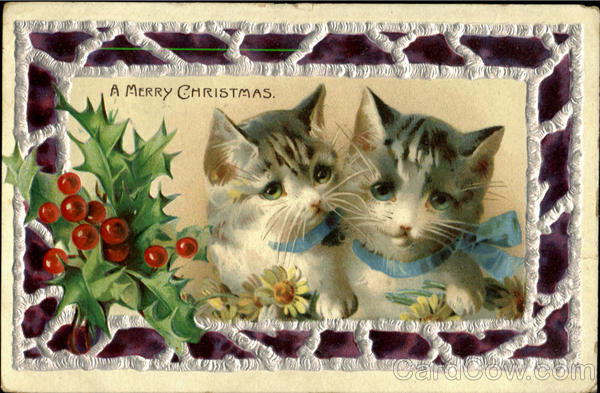 A Merry Christmas Cats