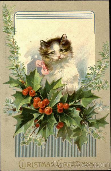 Christmas Greetings Cats