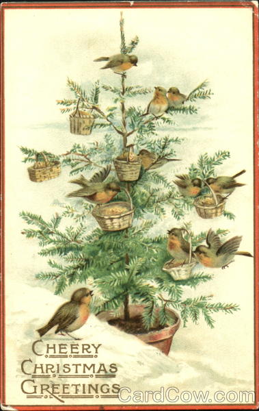 Birds Christmas