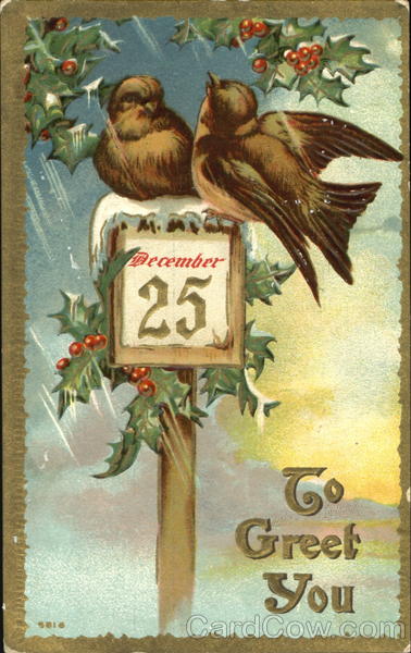 December 25 To Greet You Birds Christmas