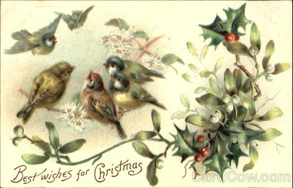 Best Wishes For Christmas Birds