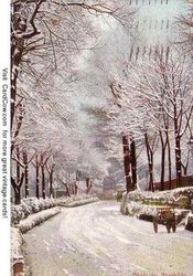 Winter Scene Seneca Falls, NY Postcard Postcard