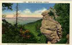 White Top Mountain Virginia Postcard Postcard