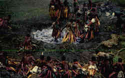 Fijian Firewalking Postcard