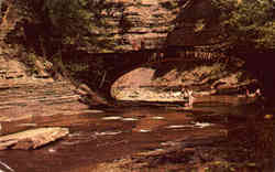 Bridge Along the Gorge, Stony Brook State Park Postcard