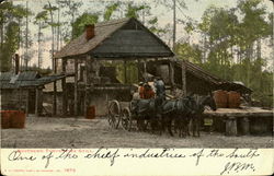 Southern Turpentine Still Postcard