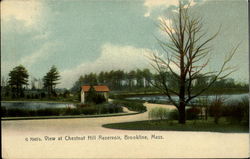 View at Chestnut Hill Reservoir Postcard