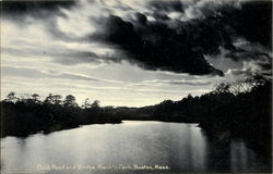 Duck Pond And Bridge, Franklin Park Postcard