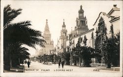 Avenue of Palms Looking West 1915 Panama-Pacific International Exposition (PPIE) Postcard Postcard Postcard