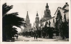 Avenue of Palms - Looking West San Francisco, CA 1915 Panama-Pacific International Exposition (PPIE) Postcard Postcard Postcard