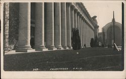 Colonnades Postcard