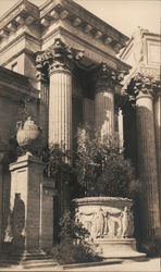 Buildings Columns, Large Planter Postcard