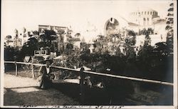 Woman at Japanese Tea Garden Postcard