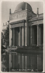 Palace of Agriculture 1915 Panama-Pacific International Exposition (PPIE) Postcard Postcard Postcard