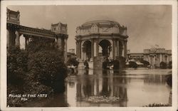 Palace of Fine Arts 1915 Panama-Pacific International Exposition (PPIE) Postcard Postcard Postcard