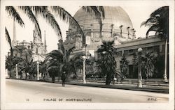 Palace of Horticulture Postcard