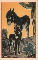 Jenney and Little Jack - two donkeys are standing between some cacti Lon Megargee Postcard Postcard Postcard