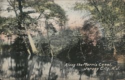 Along the Morris Canal Postcard