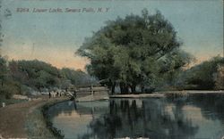 Lower Locks Seneca Falls, NY Postcard Postcard Postcard