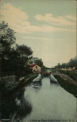 A View Up Black River Canal Postcard