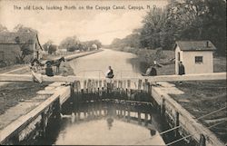 The old Lock Looking North on the Cayuga Canal Postcard