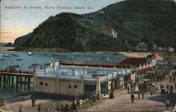 Aquarium at Avalon Santa Catalina Island, CA Postcard Postcard Postcard