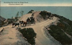 Rounding the Loop on Stage Road Santa Catalina Island, CA Postcard Postcard Postcard