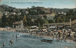 Bathing Beach Postcard