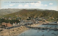 Business Section, Avalon Postcard