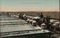 Solar Salt Works Postcard