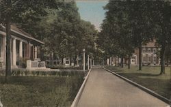 Post Office and Norton Memorial Fountain Looking Toward Smith Memorial Library Postcard