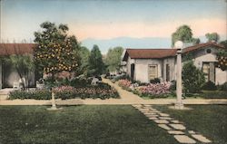 A Vista in Bungalow Court, The San Marcos Chandler, AZ Postcard Postcard Postcard