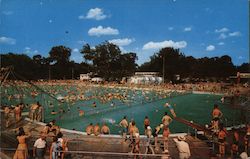 Municipal Swimming Pool at Nims and Central Avenue Postcard