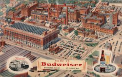 Home of Budweiser St. Louis, MO Postcard Postcard Postcard