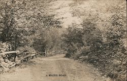 A Maine Road Trees Fence Roadway Postcard Postcard Postcard