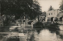 Padda Boats on the Negombo Canal, Ceylon Postcard