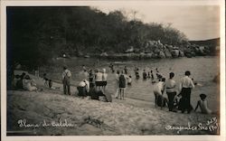 Playa de Caleta Postcard