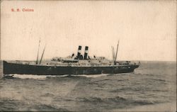 S.S. Colon Steamers Postcard Postcard Postcard