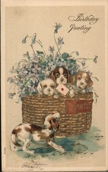 Birthday Greetings Puppies in a Basket Postcard Postcard Postcard