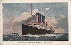 Anchor Line Twin Screw Steamship "Caledonia" Postcard