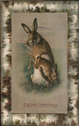 Rabbit Spanking Bunny Postcard