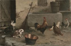 Chickens and Rabbits in Barnyard Postcard