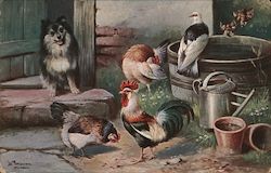 Little dog watching chickens and roosters in a yard Postcard