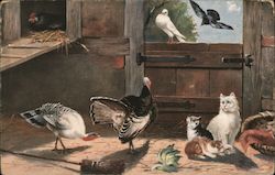 Turkeys, cats, chickens and doves in a coop. Birds Postcard Postcard Postcard