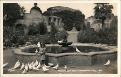 Mission San Juan Capistrano Pigeons California Postcard Postcard Postcard