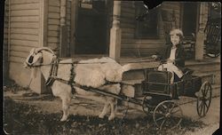 Child in small wagon pulled by goat Des Moines, IA Postcard Postcard Postcard