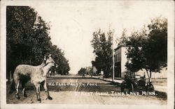 We Feel Pretty Foxy - Street Scene Iona Lake, MN Postcard Postcard Postcard