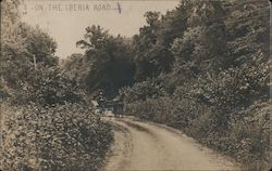 On the Iberia Road Comfrey, MN Postcard Postcard Postcard