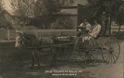 Our Country Cousins Couple in Donkey Drawn Carriage Chatfield, MN Postcard Postcard Postcard