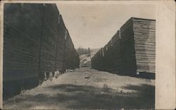 Huge Stacks of Lumber Postcard